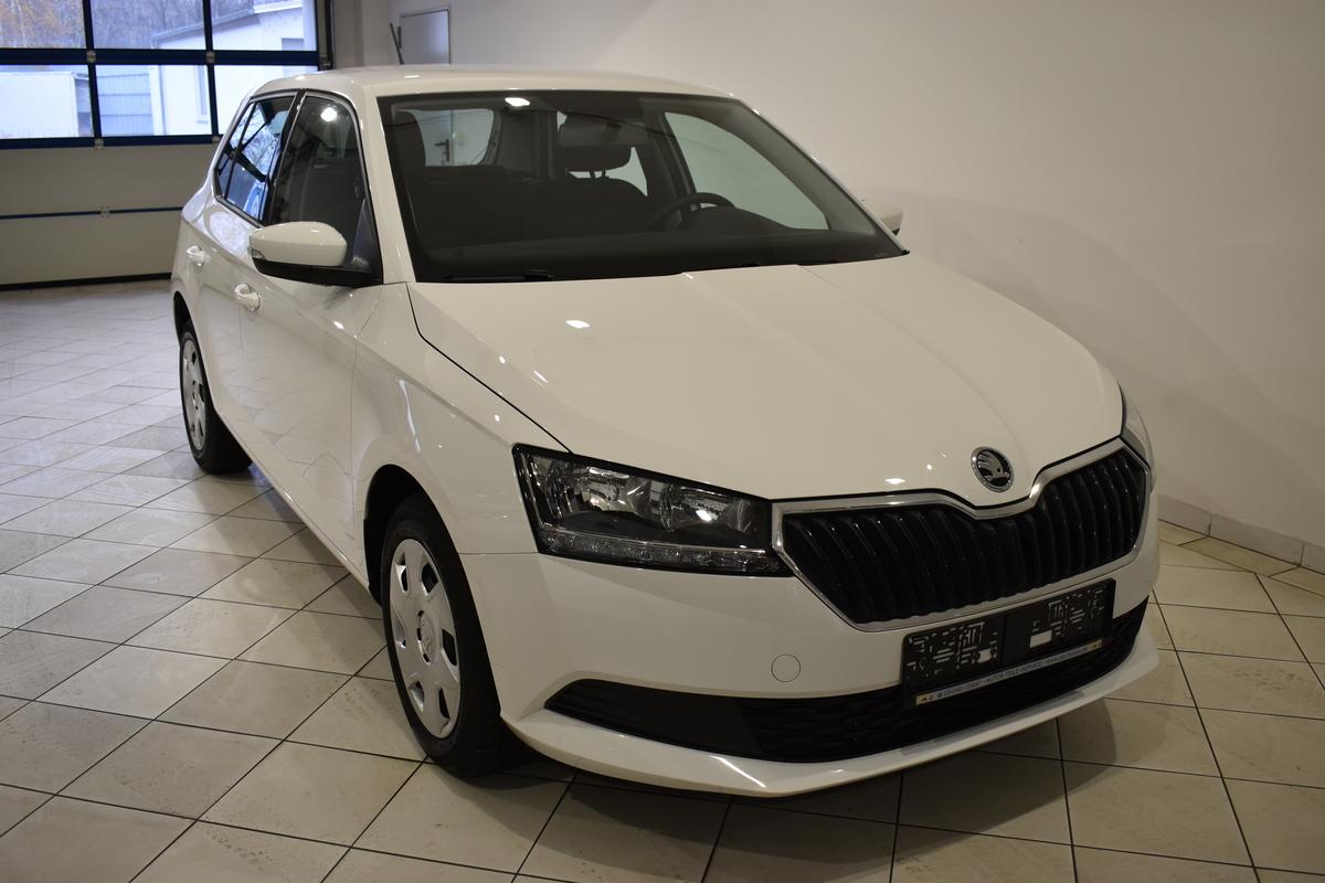 Skoda Fabia 1.0MPI Allwetter Garantie bis 10/24